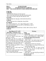 Bài soạn Giáo án Sinh học 12-HKI (Sim)