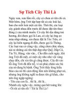 Sự Tích Cây Thì Là và sự tích củ kiệu