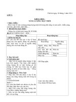 Gián án GA KH-ĐL lớp 4-5 tuần 21-22