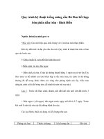 Quy trình kỹ thuật trồng mãng cầu Bà Đen kết hợp bón phần đầu trâu - Bình Điền