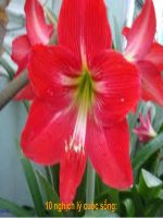 Tài liệu 10 nghịch lý cuộc sống