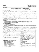 Gián án huygia văn- tuần 22CKTKN