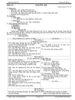 Giáo án Vật lí 7 chương II(2 cột)