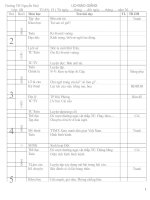 Tài liệu GA LỚP 4-TUẦN 19(CKTKN)