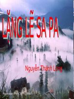 lang le sapa