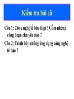 BÀI 23: CÔNG NGHỆ GEN