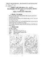 Gián án HĐC - TGĐV - T3