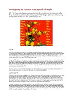 Tài liệu Những phong tục tập quán trong ngày tết cổ truyền