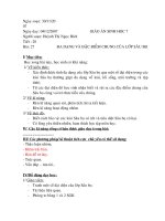 bài 27: đa dạng và đặc điểm chung của lớp sâu bọ