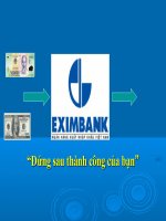 Giải pháp nhằm nâng cao hiệu quả và đẩy mạnh hoạt động tín dụng doanh nghiệp của ngân hàng TMCP XNK việt nam   chi nhánh đồng nai  