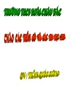 TIÊU HÓA Ở RUỘT NON