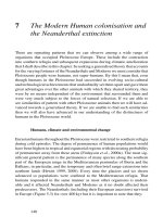 The Modern Human colonisation and the Neanderthal extinction