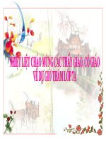 Tiet 31: MAT PHANG TOA DO (Đ 7)