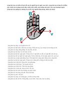 Xem tướng tay: Lòng bàn tay