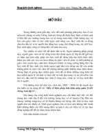 sang kien anh van chi anh 2007