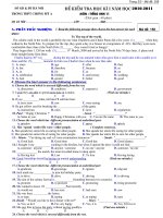 Đe hoc ki I 2010-2011