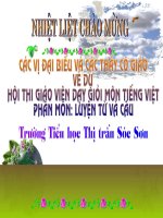 Bài giảng luyen tu va cau lop4 tuan 16