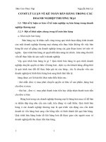 CƠ SỞ LÝ LUẬN VỀ KẾ TOÁN BÁN HÀNG TRONG CÁC DOANH NGHIỆP THƯƠNG MẠI