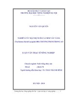 Luận văn nghiên cứu mật độ nuôi cá chim vây vàng (trachinotus blochii lacepède 1801) thương phẩm trong ao 