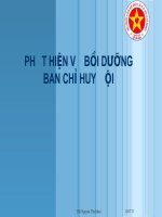 phát hiện và bồi dưỡng BCH Đội