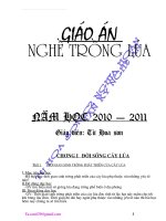Tài liệu Giáo án nghê trồng lua 9