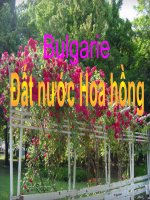 Bài giảng Đất nước Hoa Hồng.