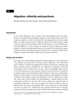 Migration, ethnicity and psychosis