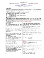 Bài soạn GA Toan 9 Dai soday du ca nam