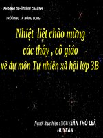 Bài giảng Rễ cây - TNXH3