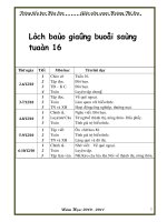 Gián án huan lop 5 tuan 16