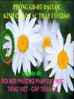 Bài giảng Chuyên đề Tiéng Việt