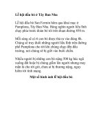 Lễ hội đấu bò ở Tây Ban Nha