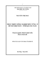 Phát triển nông nghiệp bền vững ở huyện điện bàn   tỉnh quảng nam 