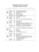 Gián án Giáo án 2-Tuần 20 CKTKN