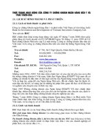 Thực trạng hoạt động của công ty chứng khoán ngân hàng đầu tư và phát triển BSC