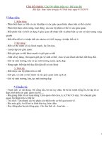 Gián án giáo an 5 tuổi