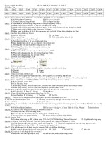 de thi hoc ki 1 tin 12 de 3