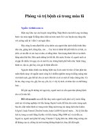 Phòng và trị bệnh cá trong mùa lũ