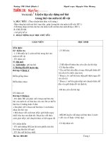 Gián án GIÁO ÁN TLV-4-HKII-MỚI(HOÀNG)