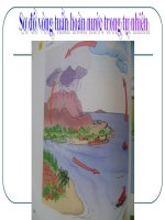 Gián án So do vong tuan hoan nuoc trong tu nhien