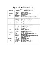 giáo  án 5 tuần 17 2010-2011