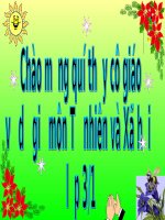 Bài 16 : Tự nhiên và xã hội