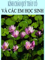Bài 11. Sản xuất và bảo quản giống...