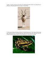 Bài soạn Các loài động vật nguy cấp trên thế giới