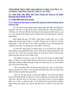 TÌNH HÌNH THỰC HIỆN BẢO HIỂM XÃ HỘI TẠI CÔNG TY CỔ PHẦN THƯƠNG MẠI KỸ THUẬT AN VIỆT