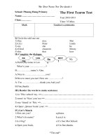 ĐỀ ÔN TẬP KIỂM TRA TIẾNG ANH - HK 1 - NĂM HỌC 2010 - 2011