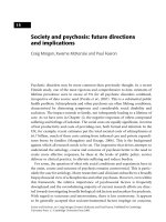 Society and psychosis - future directions and implications