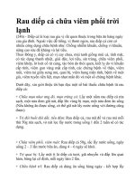 Bài giảng Rau diếp cá chữa viêm phổi trời lạnh