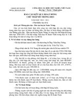 Bài soạn BÁO CÁO CHỮ THẬP ĐỎ