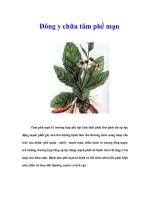 Đông y chữa tâm phế mạn